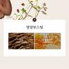 MISSHA - Chogongjin Geumsul Jin Toner