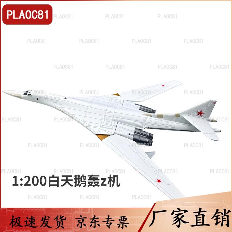 1:200 Soviet Tu-160 White Swan Bomber Model