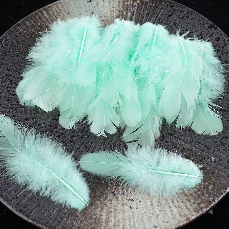 Mixed Color Chicken & Peacock Feathers for DIY Ornaments, Handicrafts, and Handmade Clothing Accessories.