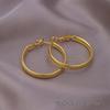 European American Style Luxury Stud Earrings: Elegant Cross-border Niche Hoops, Versatile Celebrity-inspired Accessories