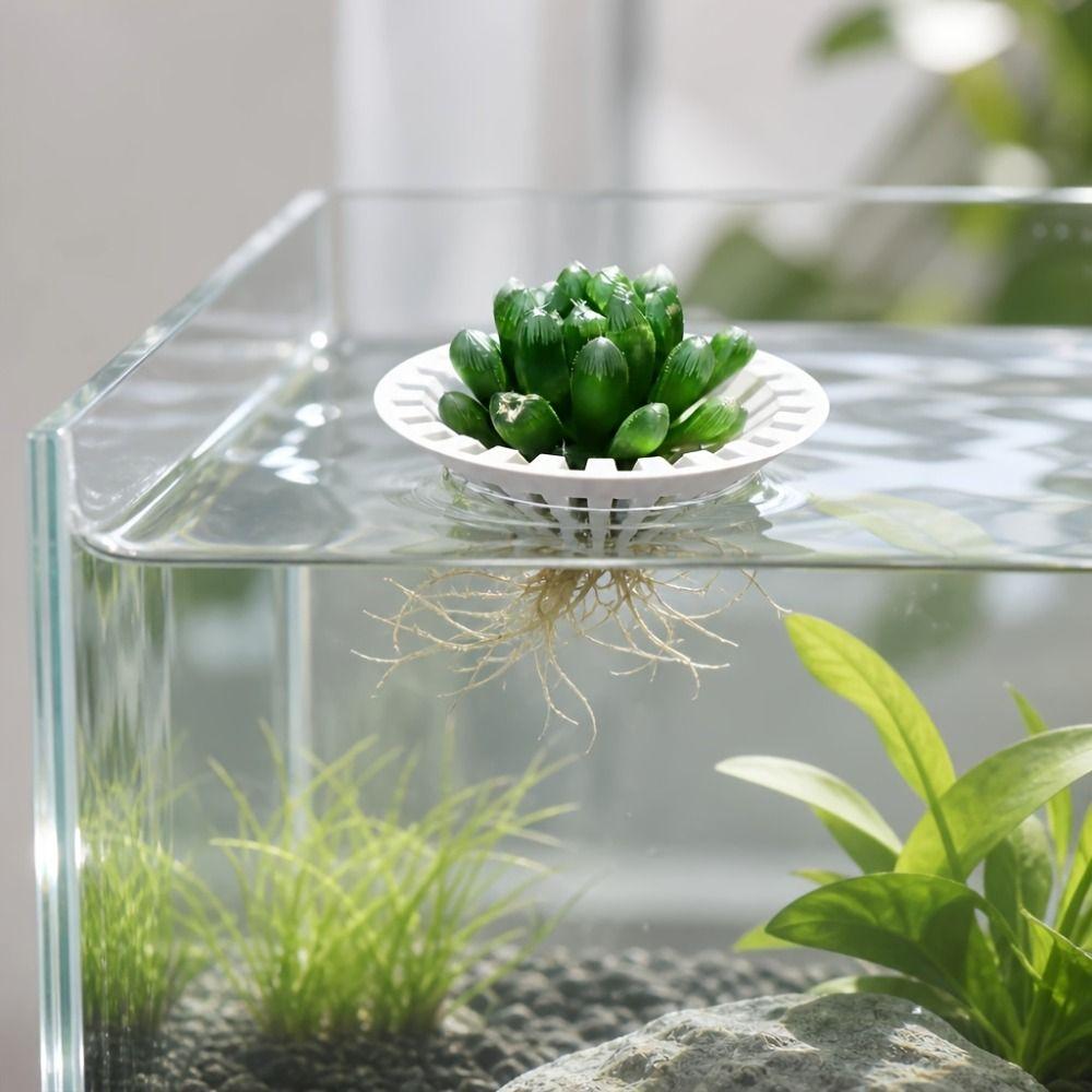 3D Printed Soilless Cultivation Holder Round Floating Aquatic Plant Rack Succulent Holder