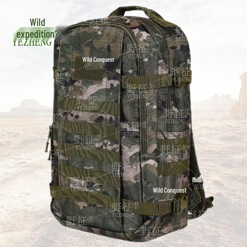 Ye Zheng Tactical Training Backpack