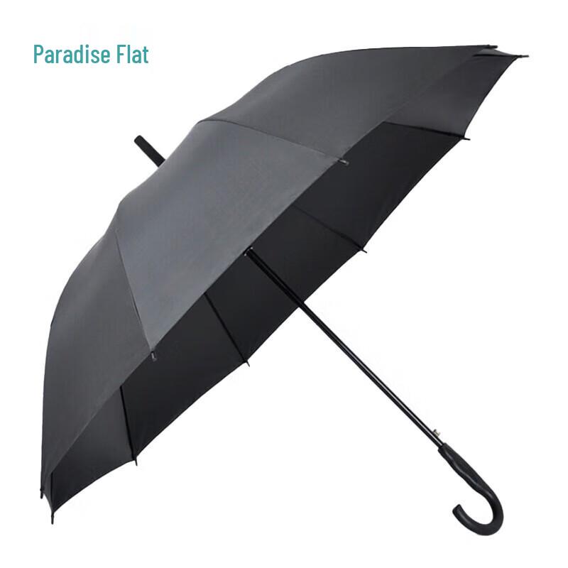 Tiantang 193E Business Long-Handle Umbrella