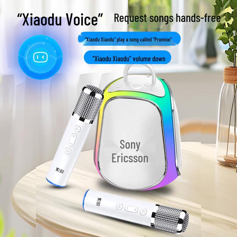 Soaiy K39M Wireless Karaoke Microphone Speaker CN Plug (adapter Included)