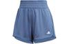 Sports Shorts Women's Legend Ink IR6239