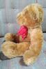 [USED] teddy bear