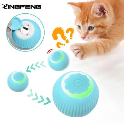 Katzen – Katzenspielzeug