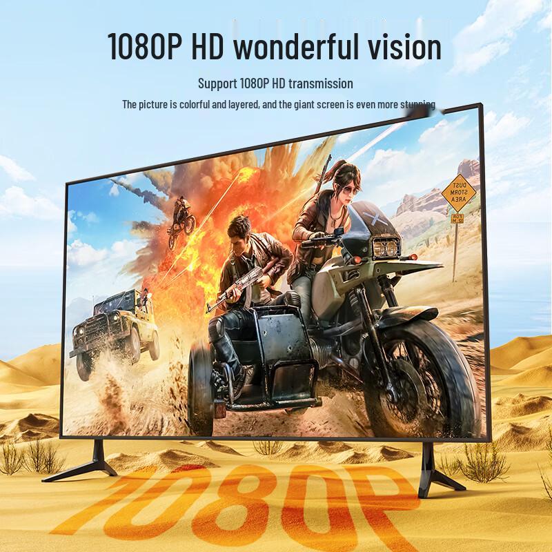 Shanze DisplayPort To VGA Converter Cable