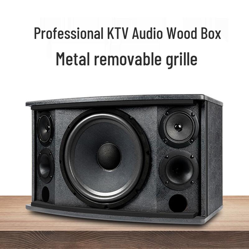 SANSUI H11 Home KTV Karaoke System with 10-inch Speakers CN plug (adapter included) (CN version)