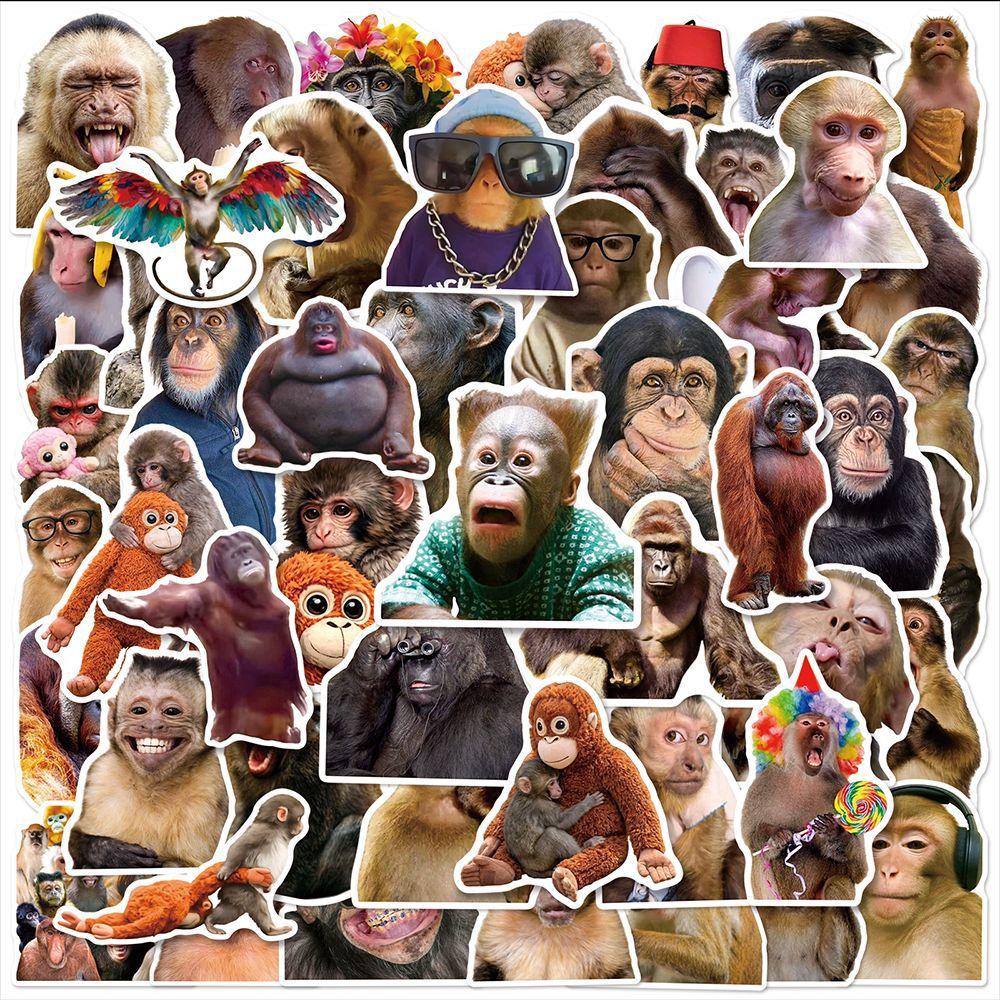

50 Pcs Realistic Funny Monkey Stickers Pack, Waterproof Animal Decals for Suitcase Phone Case Laptop Car Helmet Skate Surfboard