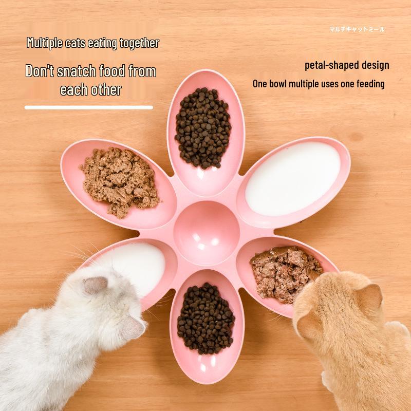 Petal Cat and Dog Bowl: Multi-Cat & Stray Cat Feeding, Ideal for Kitten Milk & Puppy Food