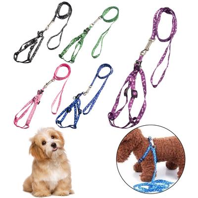 Cani – Collari e guinzagli per cani