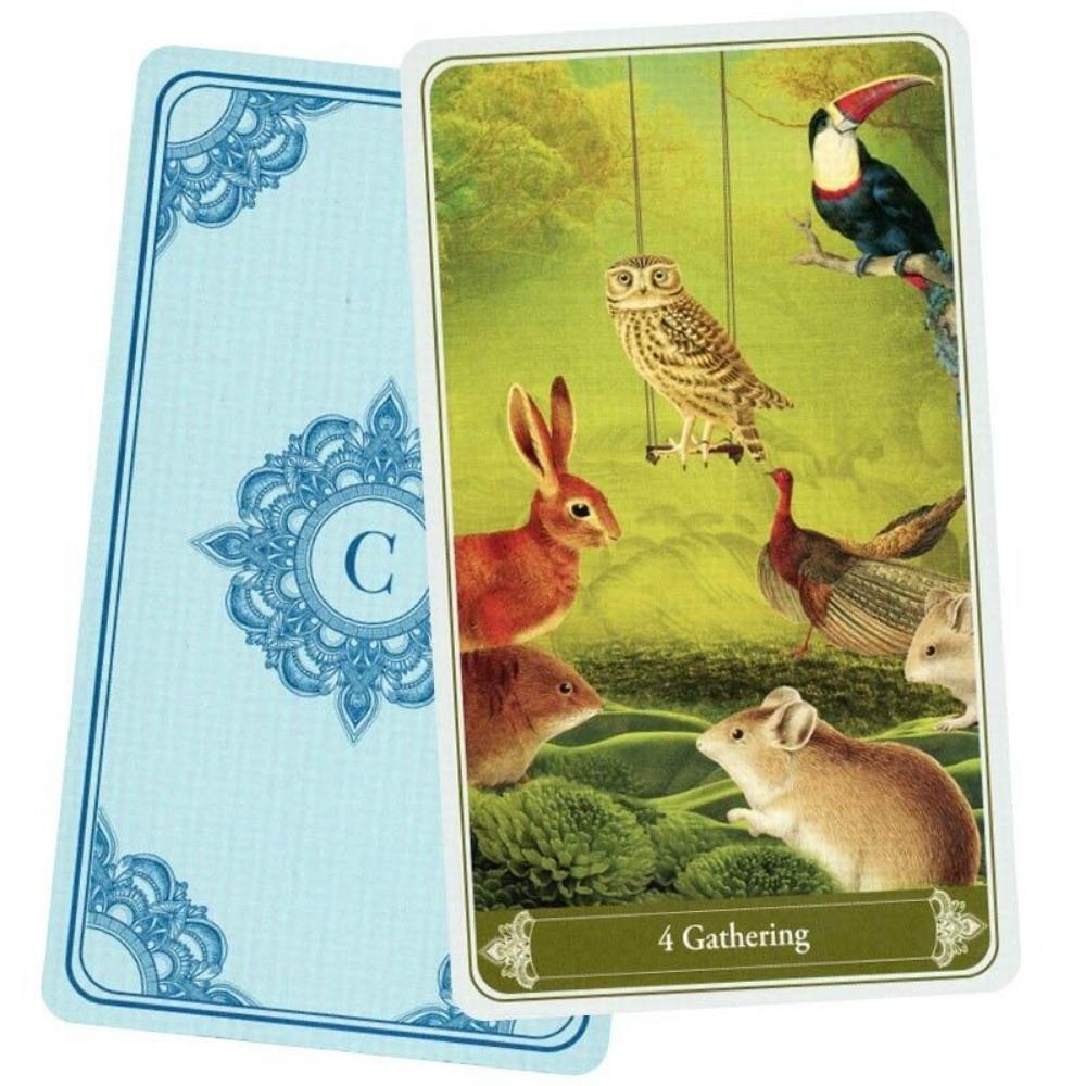 10,4*7,3 cm Christephania Kipper 36 Pcs Karten Modernisiert und Die Symbolik Erweitert