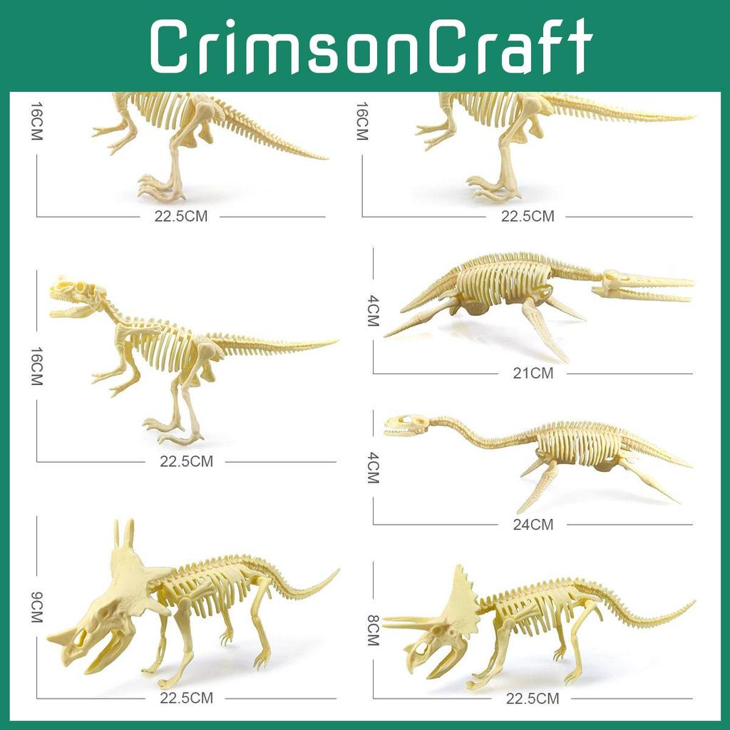 Fossil Skeleton Dinosaur Model With Plastic Material For Kids Educational Decor