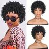 Synthetic Braided Wigs for Women Locs Crochet Twist Hair Short Afro Wig Ladies Dreadlock Wig Brown Daily Curly Cool Girl Bouncy