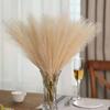 3pcs-Artificial Pampas Grass Simulation Feather Wedding Props Reed Hair Boho Home Decoration
