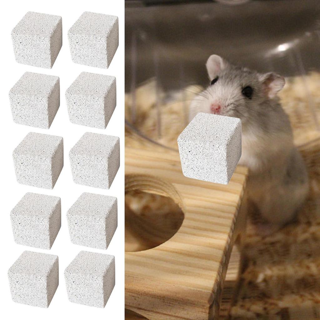 10 Grinding Stone Square Indoor Game Chew Toy for Gerbils Squirrels