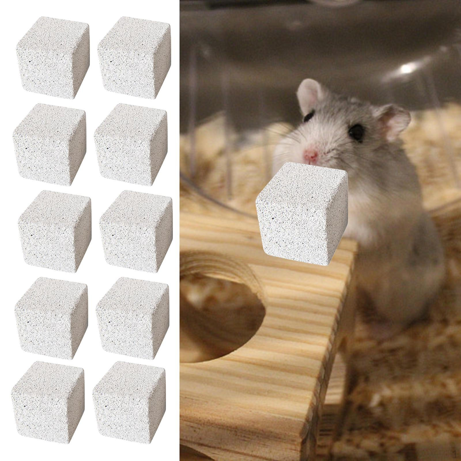 

10 Grinding Stone Square Indoor Game Chew Toy for Gerbils Squirrels 3cm