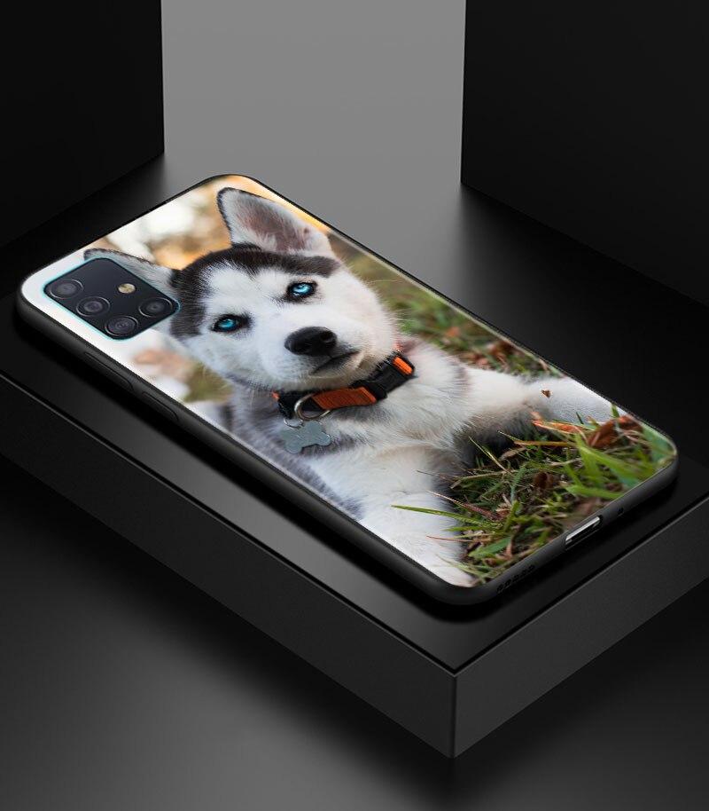 Alaskan Husky Dog Cute Puppy Phone Case for Samsung Galaxy A51 A71 A21S A12 A11 A31 A52 A41 A32 A72 A02S A01 5G Silicon Cover