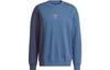 Sweatshirts Men's Blue Crew Neck Moderate Regular HI3837