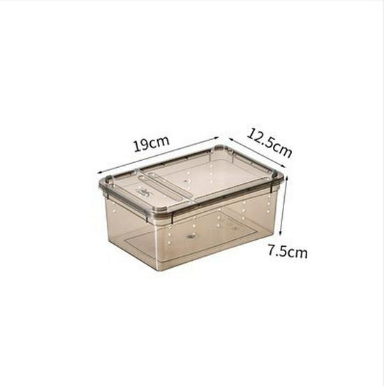 Reptile Habitat Tank for Silkworms, Spiders, Frogs, Snakes, Lizards, Snails, Insects, and Turtles