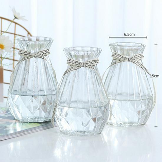 Nordic Transparent Glass Vase for Hydroponic Plants and Home Decoration