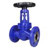 Yundu Bellows Flanged Globe Valve