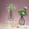 Metal Frame Vase with Clear Glass Tube Hydroponic Container for Desk Decoration