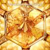 Abeille Royale Honey Treatment Day Cream Refill 50ml
