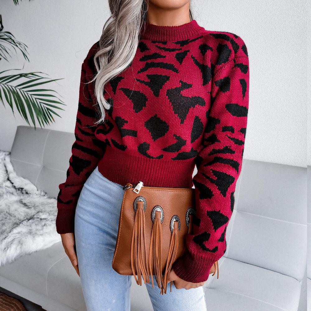 Women Autumn Winter Leopard Print Knitted Crop Sweater Long Sleeve O Neck Nipped Tops Sizes S To L