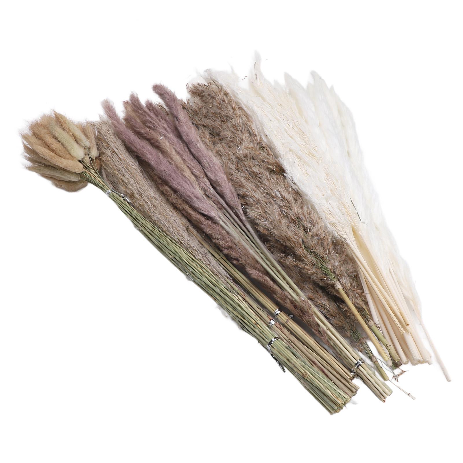 

110 шт. сушеная пампасная трава декор деревенский букет из сухоцветов тростника для свадьбы
