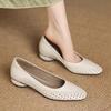 2025 Summer French Square Head Hollow Breathable Thick Heel Shallow Mouth Single Shoes Women's Middle Heel Bag Head Sandals Soft Leather Hole Shoes