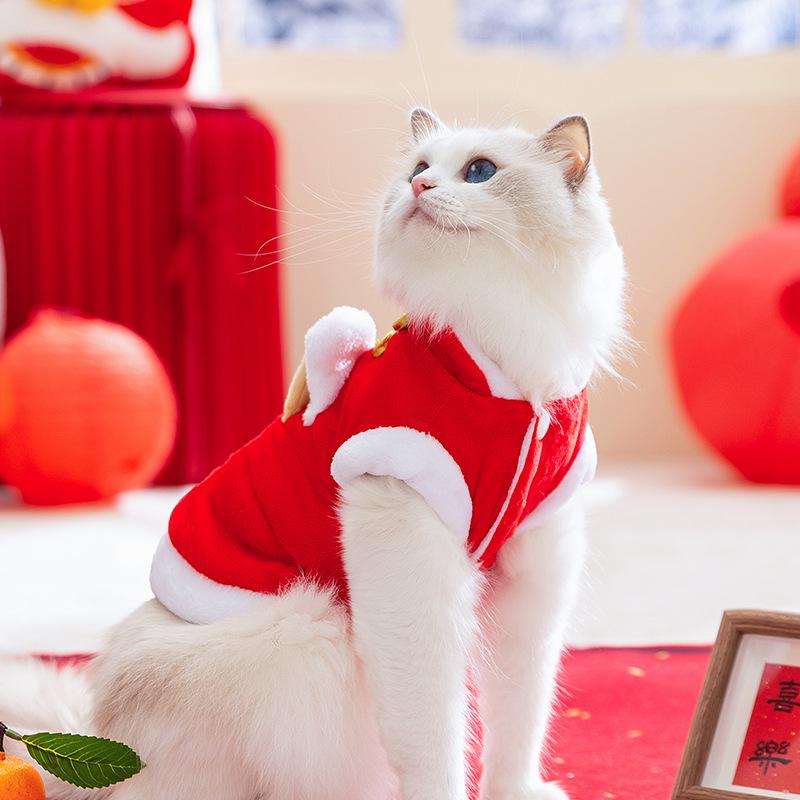 New Year's cat clothes, festive Chinese New Year, auspicious New Year greetings, warm cats, kittens, puppies, dogs, two-legged clothes, pet clothing