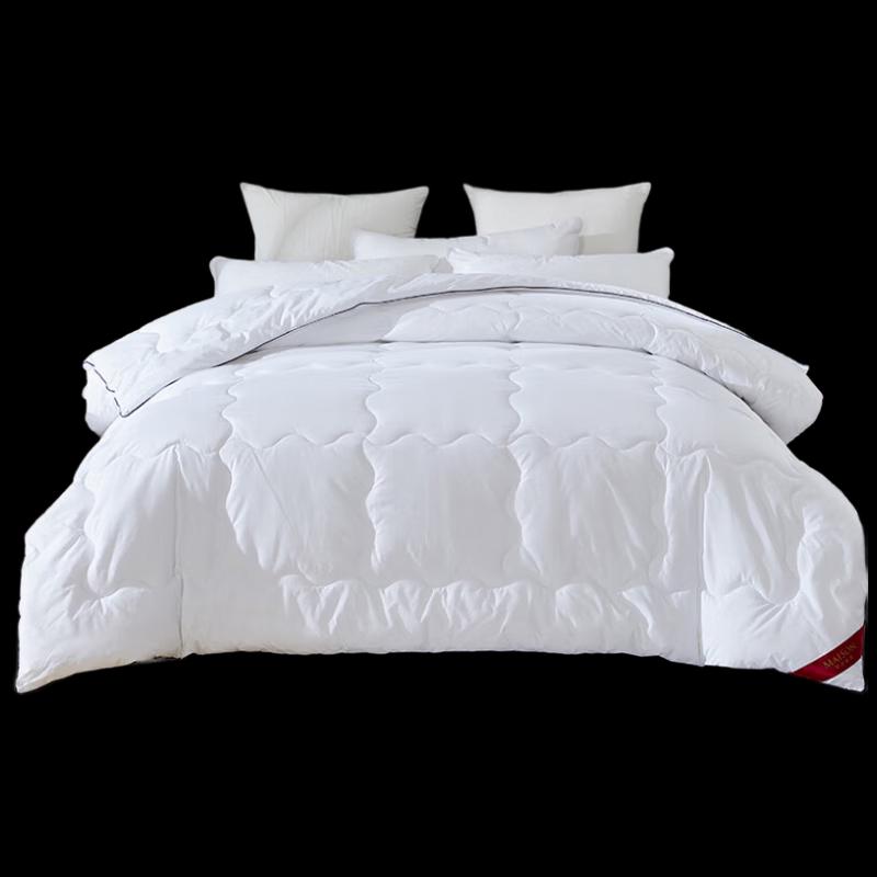 Bobirolly All-Season Microfiber Quilt