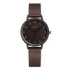 Simple High-End Cic Style Women'S Light Luxury Waterproof Belt Quartz Watch