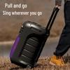 Philips SD189 Portable Outdoor Bluetooth Speaker with Handheld Mic CN plug (adapter included) (CN version)