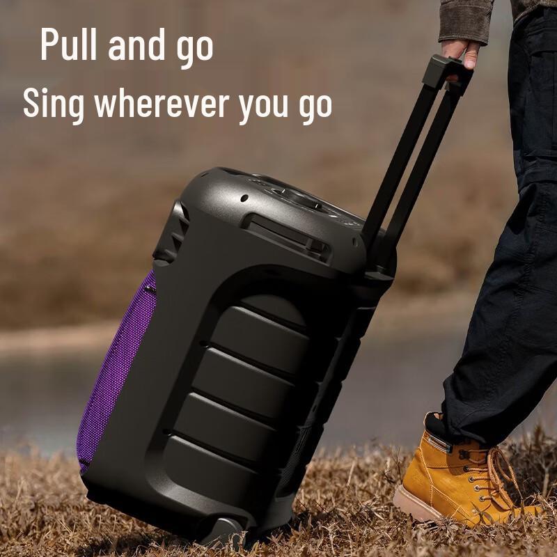 Philips SD189 Portable Outdoor Bluetooth Speaker with Handheld Mic CN plug (adapter included) (CN version)