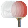 10/20Pcs Table Tennis Paddle Maintenance Cover Protection Film Pingpong Paddle Protect Film Tool able Tennis Accessory