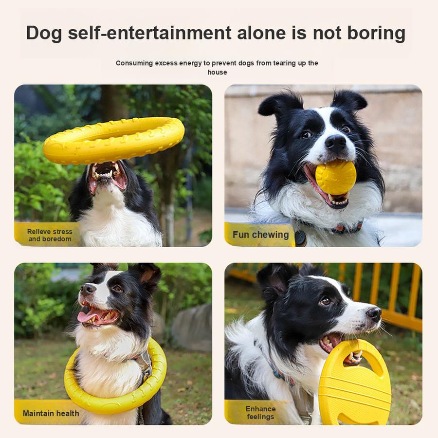 Professional Circle Dog Toys for Aggressive Chewers - Durable Floating Training Toys for Labrador, Golden Retriever, and Border Collie Puppies