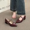 Designer Thick Heel Women Mary Jane Shoes Fashion Shallow Pointed Toe Shoes 2026 Spring Party Dress Prom Female Leather Pumps
