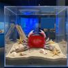 1/2Pcs Simulated Crab Figurines User Friendly ABS Materials Table Decoration Perfect For Kitchen And Marine Decors