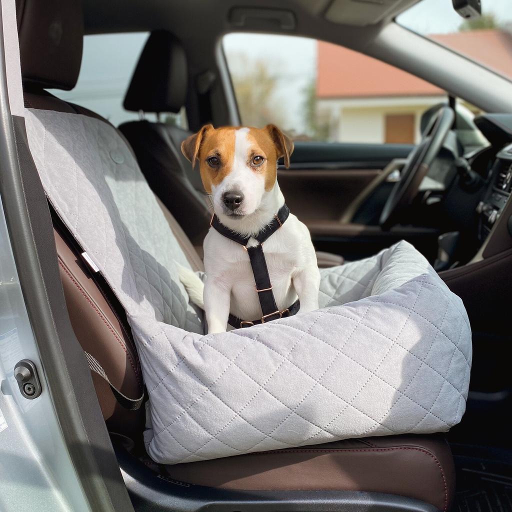 Silver Dog Car Seat