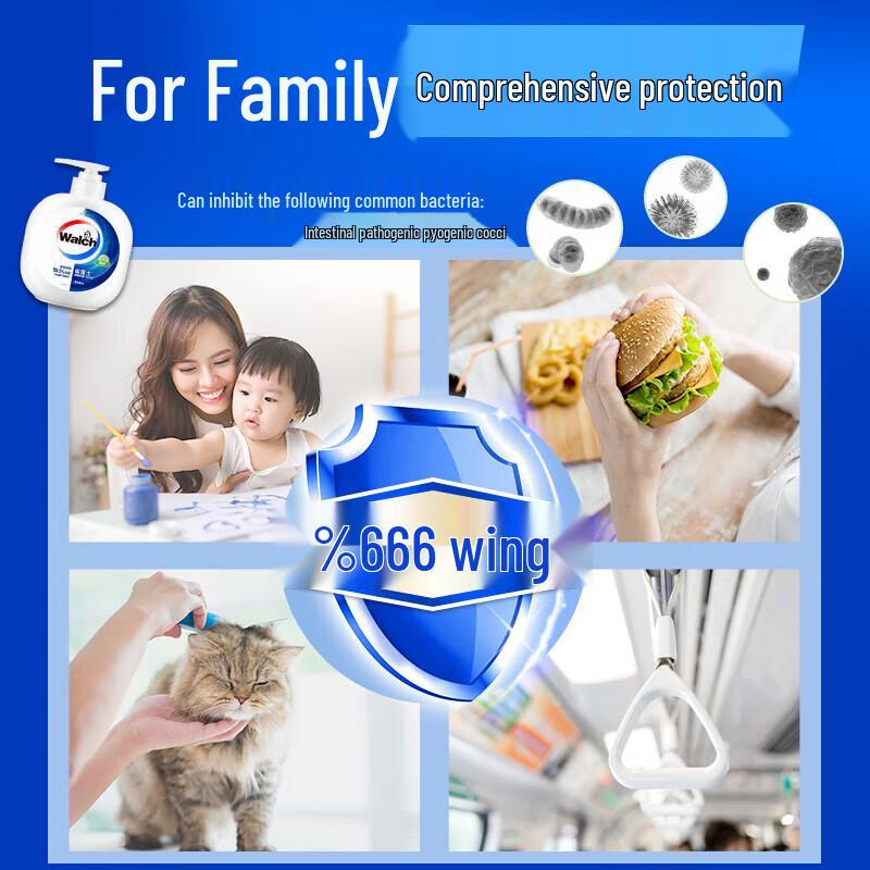 Walch Gentle Moisturizing Hand Sanitizer