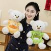 Teddy Bear Plush Doll Dressed-Up Toy – Huggable Gift for Kids