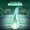 CLEAR Scalp Care Oil Control Revitalizing Shampoo 480g