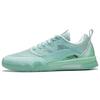 Ellington Skateboarding Shoes 'Green Blue' Men's AEPR009-13