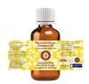 Deve Herbes Ravintsara Essential Oil (Cinnamomum Camphora) Pure | Non-Sticky | Non-greasy | Lightweight | Men & Women | All Skin Types | Steam Di
