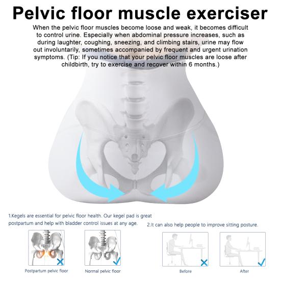 USB Electric Pelvic Floor Trainer Ergonomic Bladder Control Postpartum Recovery Prostatitis Relief Pelvic Floor Exerciser Strengthening Device