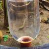 Plant Self-Watering Device 500ml Automatic Watering Transparent Plastic Plant Water Bulb Home Garden Drip Irrigation System Tool