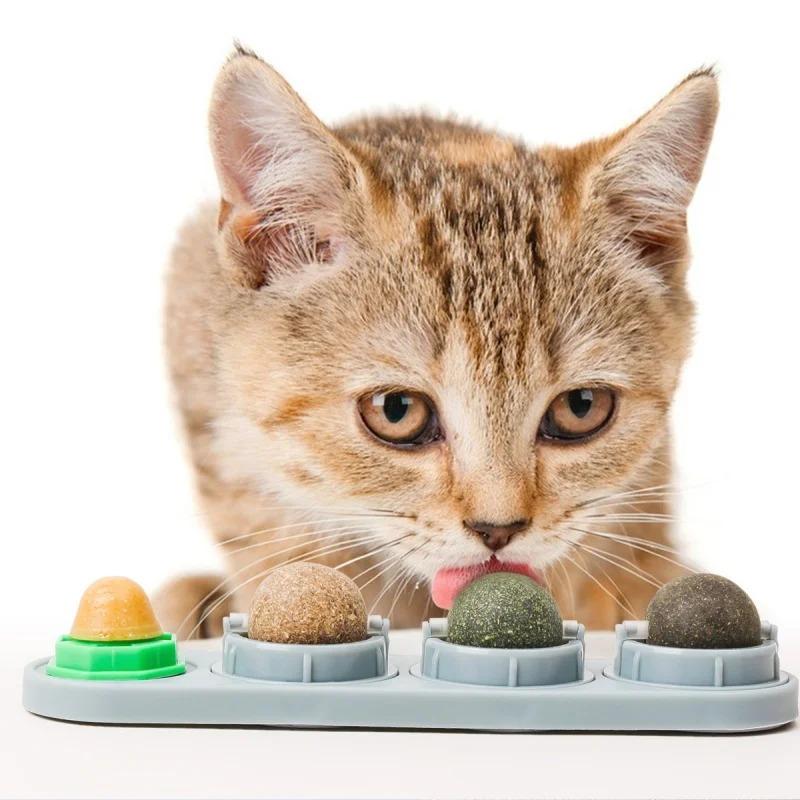 Catnip Balls 4 in 1 Lickable Cat Snack Kitten Chewing Playing Toy Teeth Cleaning Digestion Promotion Pet Cat Accessories Toys
